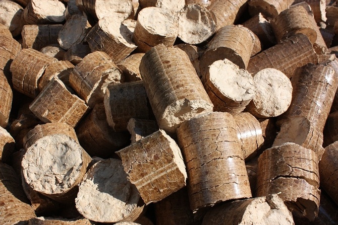 Biomasa i biopaliwa – pelet drzewny