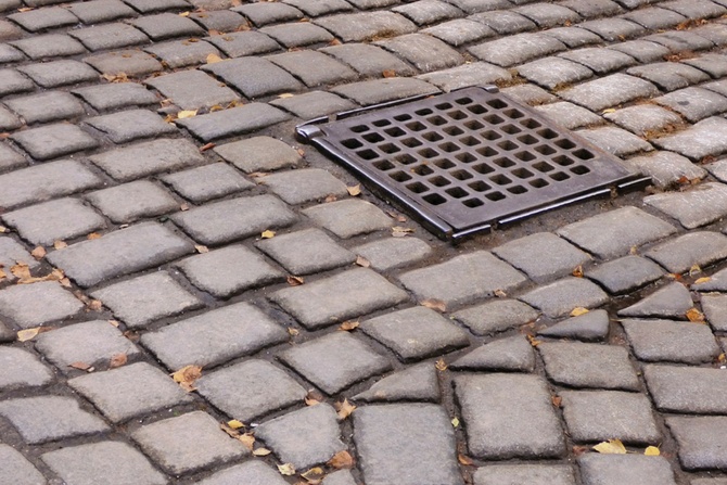 Bakterie, które walczą o czystą wodę