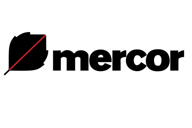 Mercor: kolejny rok dwucyfrowych wzrostów sprzedaży