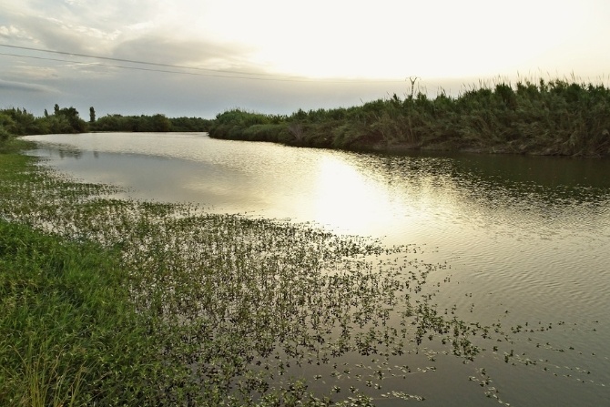 Rusza program Strażnicy Rzek - WWF zbiera informacje o stanie lokalnych rzek