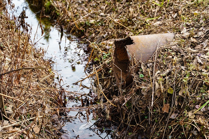 Wzrost zakażeń koronawirusa można przewidzieć dzięki ściekom