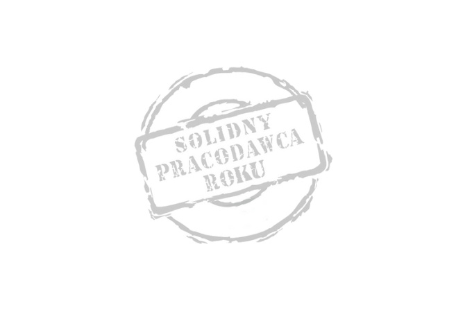 Viessmann kolejny raz z nagrodą Solidny Pracodawca