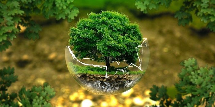 Czy powinno się odroczyć cele ekologiczne?