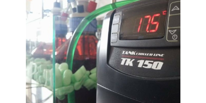 Nanomateriały będą wspierać mikroorganizmy oczyszczające ścieki