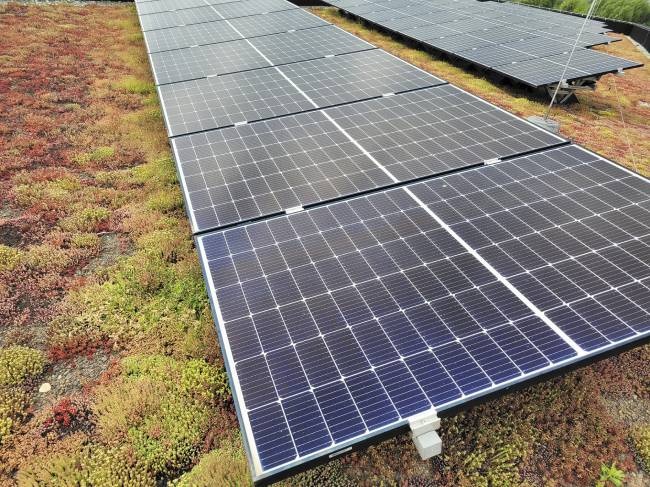 Dachy biosolarne – połączenie dachu zielonego i ogniw fotowoltaicznych jako sposób na zwiększenie efektywności instalacji PV