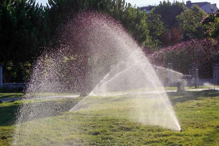 Jak gospodarować wodą w ogrodzie? Zbieranie deszczówki i inteligentne nawadnianie ogrodu