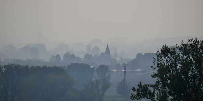Ranking aktywnych gmin w programie „Czyste Powietrze”