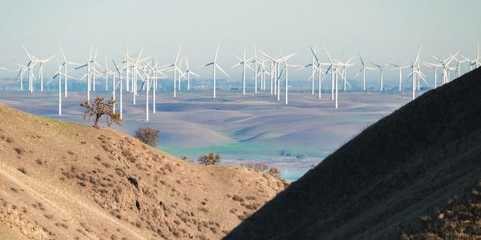 Rekordowy przyrost mocy elektrowni wiatrowych w 2023