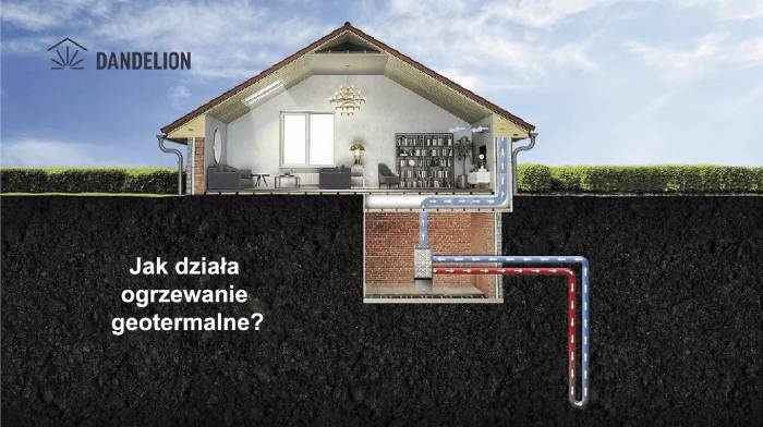 Krajowe i zagraniczne perspektywy rozwoju wodnych i gruntowych/geotermalnych pomp ciepła