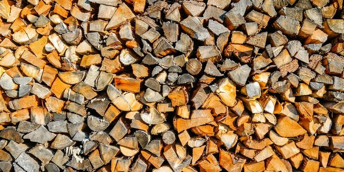 Polska nie ma wystarczających zasobów biomasy