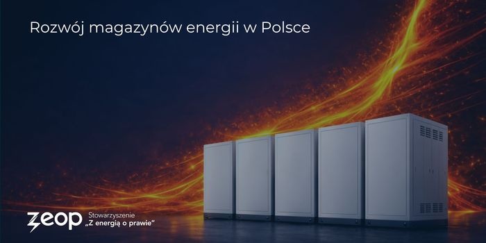 Raport „Rozwój magazynów energii w Polsce”