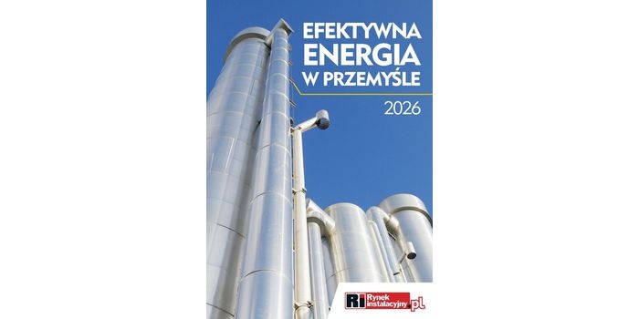 Bezpłatny e-book Efektywna energia w przemyśle