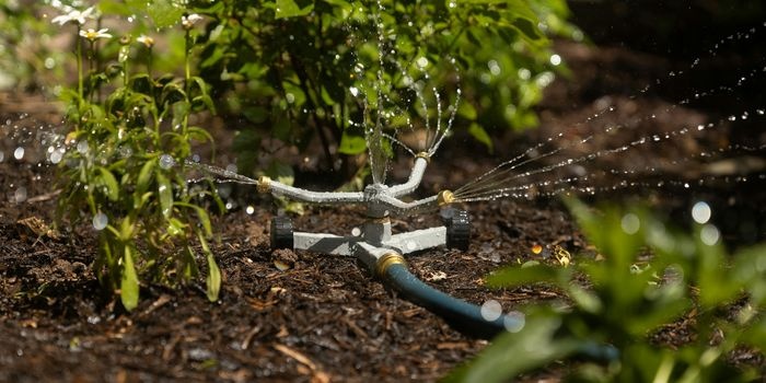 Adaptacja do zmian klimatu – małe inwestycje na dużą skalę. Zapowiedź programu „Mikroretencja”