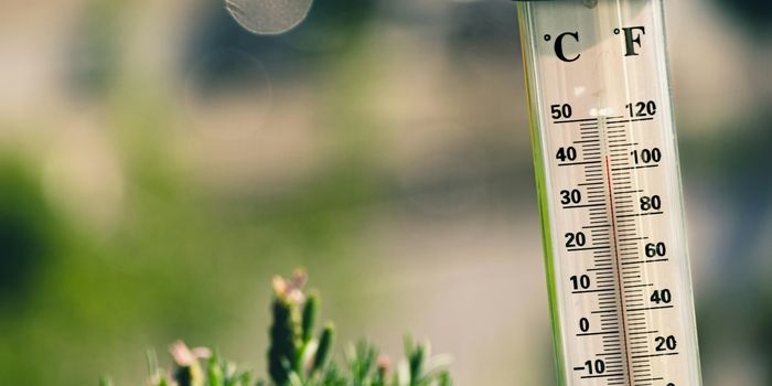 Chłodzenie pomieszczeń staje się potrzebą