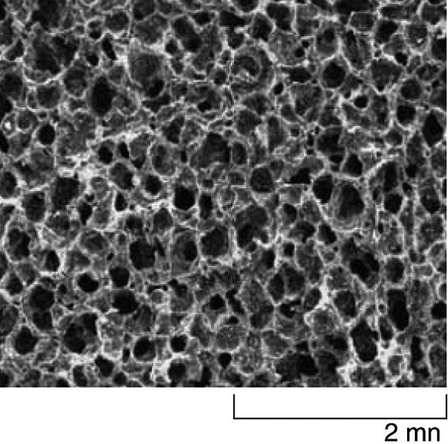 Rys. 6. Struktura włókna węglowego pod mikroskopem