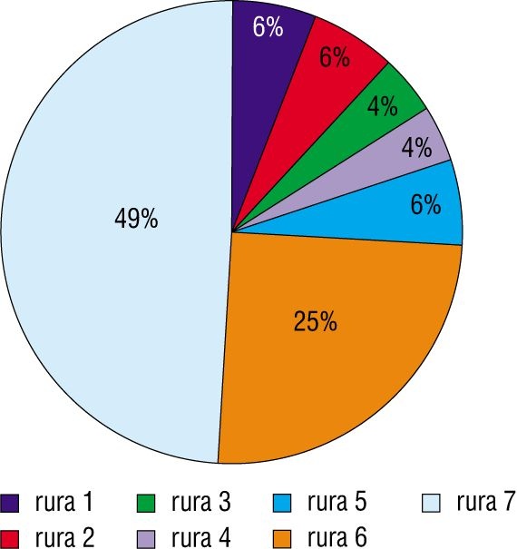 Rys. 3. Procentowy udział przepływu w danej gałęzi 7-rurowego wymiennika ciepła w układzie tradycyjnym (typu Z, patrz rys. 5) [1]