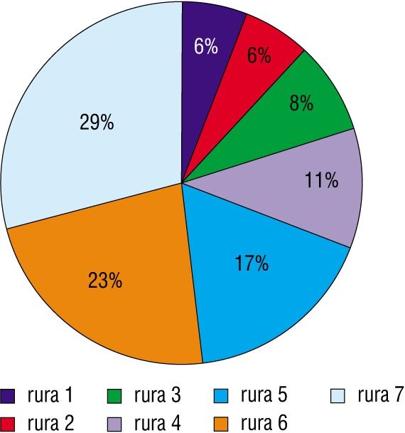 Rys. 4. Procentowy udział przepływu w danej gałęzi 7-rurowego wymiennika ciepła w układzie zmodyfikowanym (typu U, patrz rys. 6) [1]