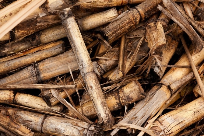 Kotłownia miejska Borne Sulinowo będzie mieć kotłownię miejską zasilaną biomasą
Fot. pixabay.com