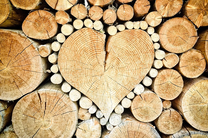 Będzie nowa definicja drewna energetycznego
Fot. pixabay.com