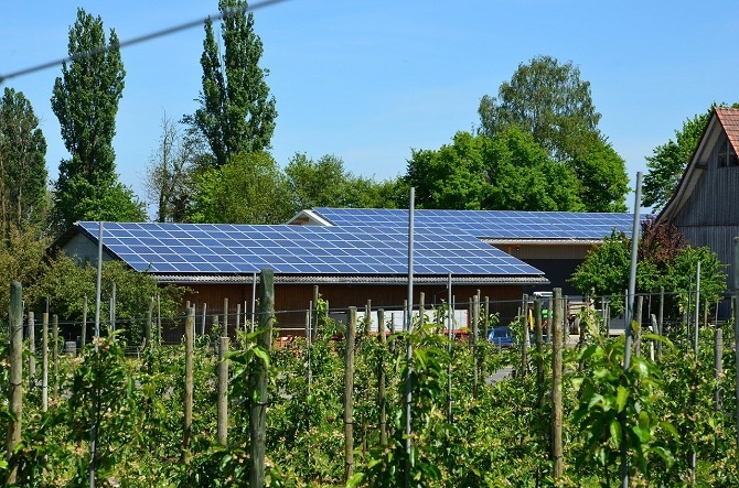 Ekopartnerzy na rzecz słonecznej energii Małopolski
fot. Pixabay