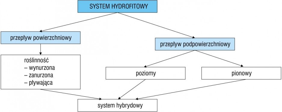 Rys. 1. Rodzaje systemów hydrofitowych (wg [7, 14])