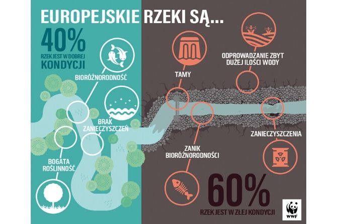 Jakie są europejskie rzeki?
Fot. WWF Polska