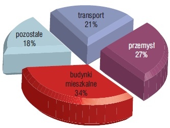 Rys. 1. Struktura zużycia energii w Polsce (2008 r.)