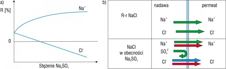 Rys. 3. Efekt Donnana w membranie nanofiltracyjnej [7]
