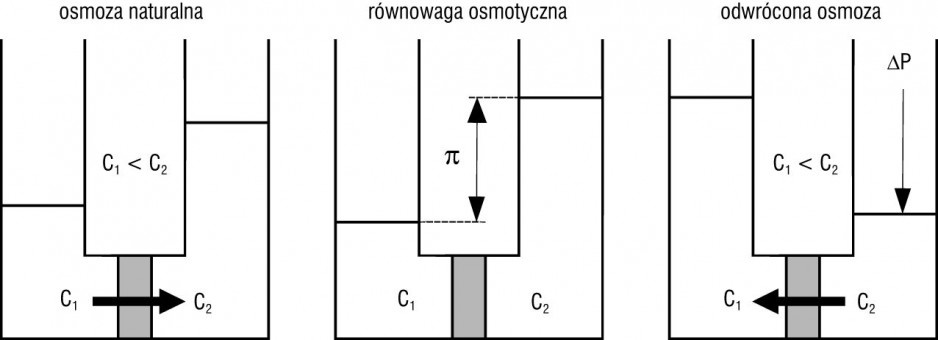 Rys. 4. Zasada osmozy naturalnej i odwróconej osmozy (C – stężenie substancji rozpuszczonej) [15]