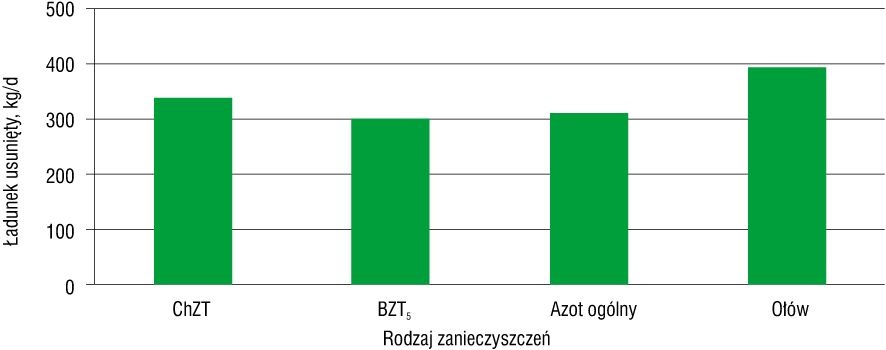 Ładunek zanieczyszczeń 