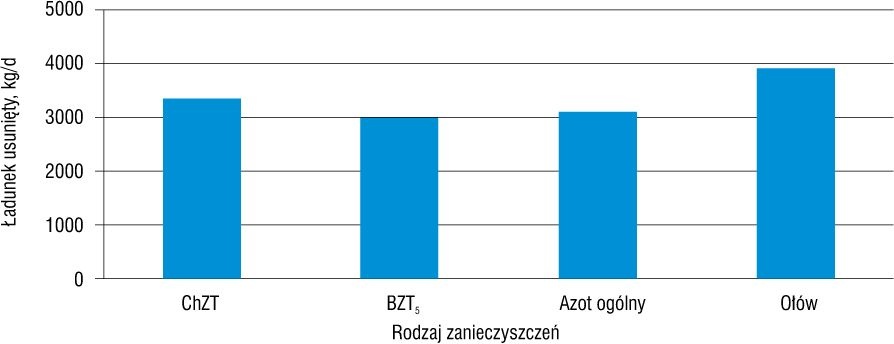 Ładunek zanieczyszczeń 