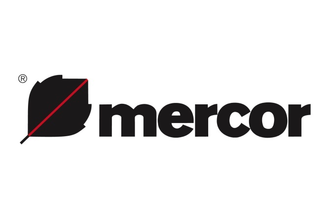 Wyniki Grupy Mercor
Grupa Mercor