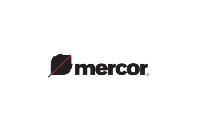 Grupa Mercor z coraz lepszymi wynikami
fot. Mercor