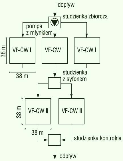 Rys. 2. Schemat projektowanego systemu hydrofitowego – wariant II