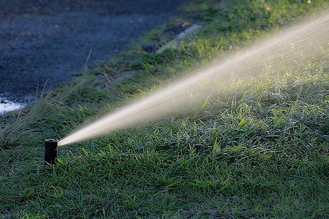 Woda pitna nie powinna być używana do podlewania ogr&oacute;dk&oacute;w &nbsp;
Fot. pixabay.com