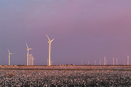 Farma wiatrowa Roscoe w Teksasie w USA, fot. twipu.com
