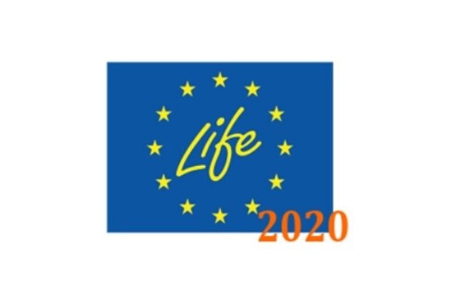 Program LIFE 2020 wystartował, można składać już wnioski
Fot. NFOŚiGW