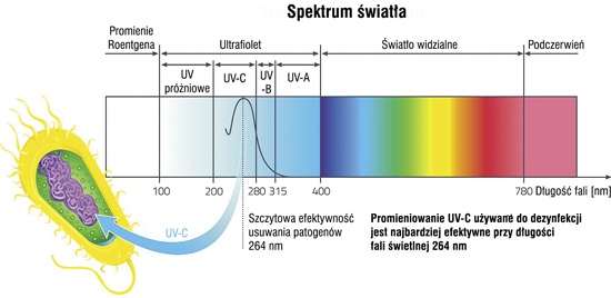 Spektrum promieni UV