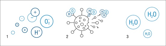 Schemat tworzenia i działania dezynfekcyjnego plazmy niskotemperaturowej: 1 – tworzenie jonów w polu elektrycznym; 2 – grupa OH– na powierzchni patogenu przez utlenienie degeneruje białka; 3 – produkt utleniania (woda) wraca do powietrza