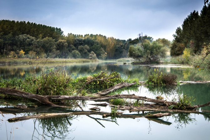 Polskie rzeki zostały &bdquo;wyprostowane&rdquo;
Fot. pixabay.com