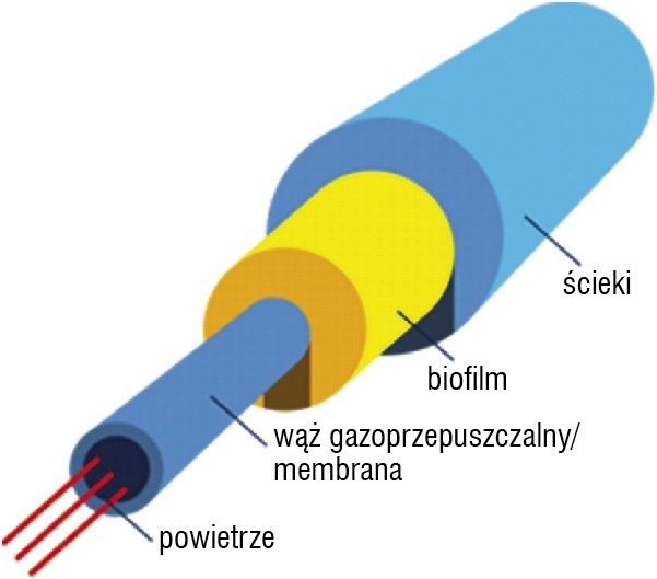 Schemat układu