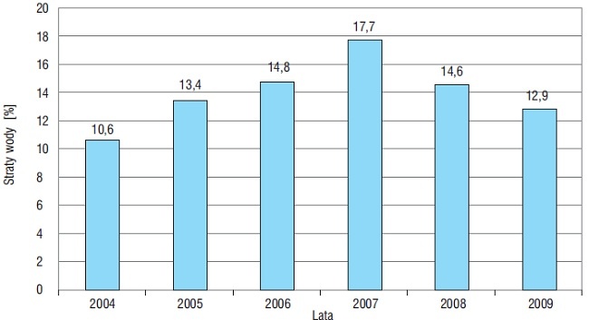 Rys. 2. Straty wody w latach 2004–2009 [5]