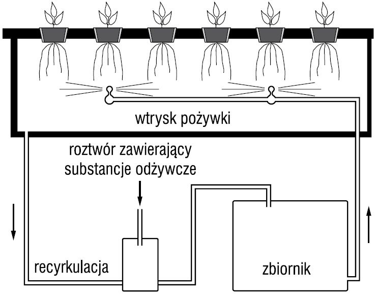 Rys. 6. Schemat uprawy aeroponicznej [3]