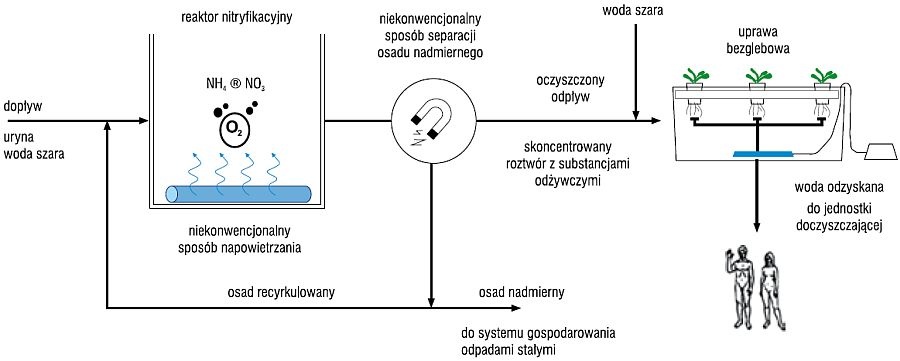 Rys. 7. Schemat systemu uwzględniającego wykorzystanie oczyszczonych ścieków do uprawy biomasy; rys. autorów (A. Jurga, B. Zięba)