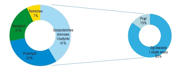 Rys. 1. Zużycie energii w Polsce [1]