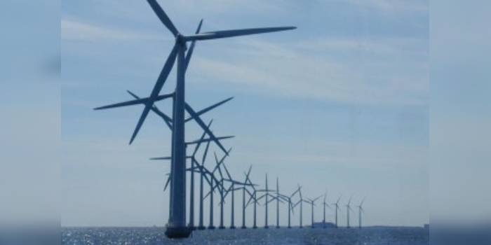Energia elektryczna pochodzi m.in. z elektrowni wiatrowych/freeimages.com