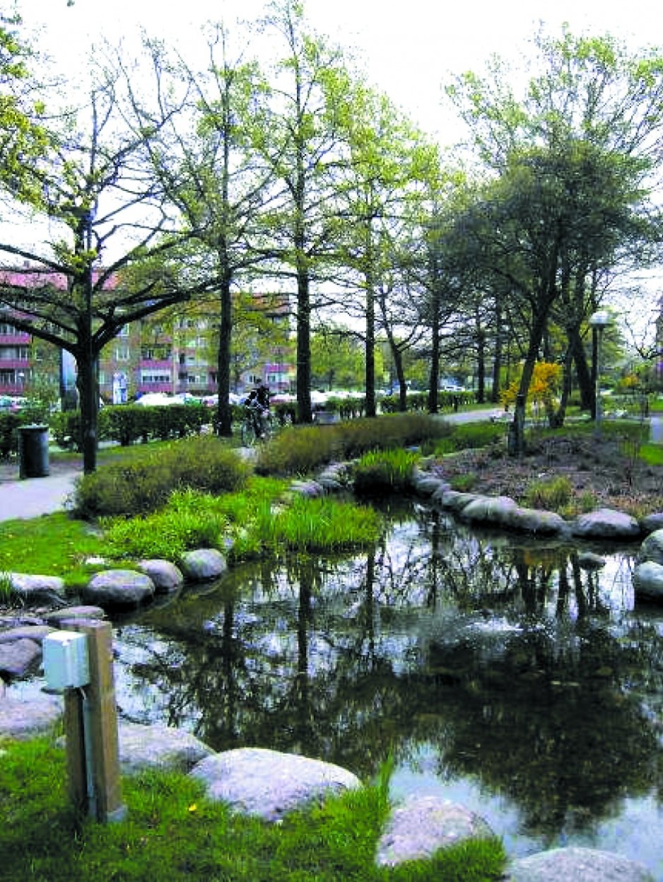 Zrównoważone systemy drenażu wykonane na osiedlu Augustenborg 