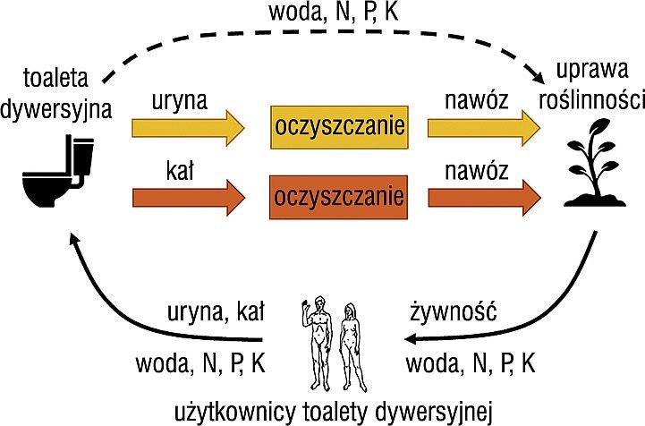 Schematyczne zobrazowanie przepływu
