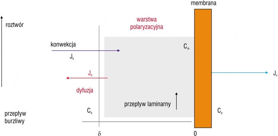 Zjawisko polaryzacji stężeniowej