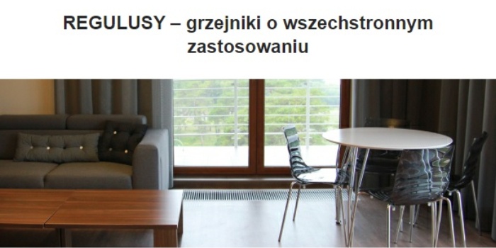 Grzejniki typu REGULUS